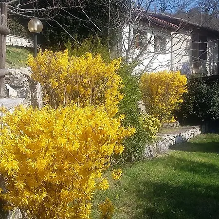 Holiday Grazia Holiday home