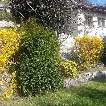 Holiday Grazia Holiday home *